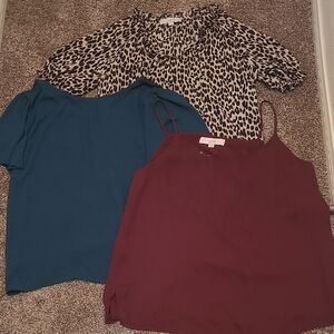 LOFT Animal Print, Teal, and Burgundy Tops